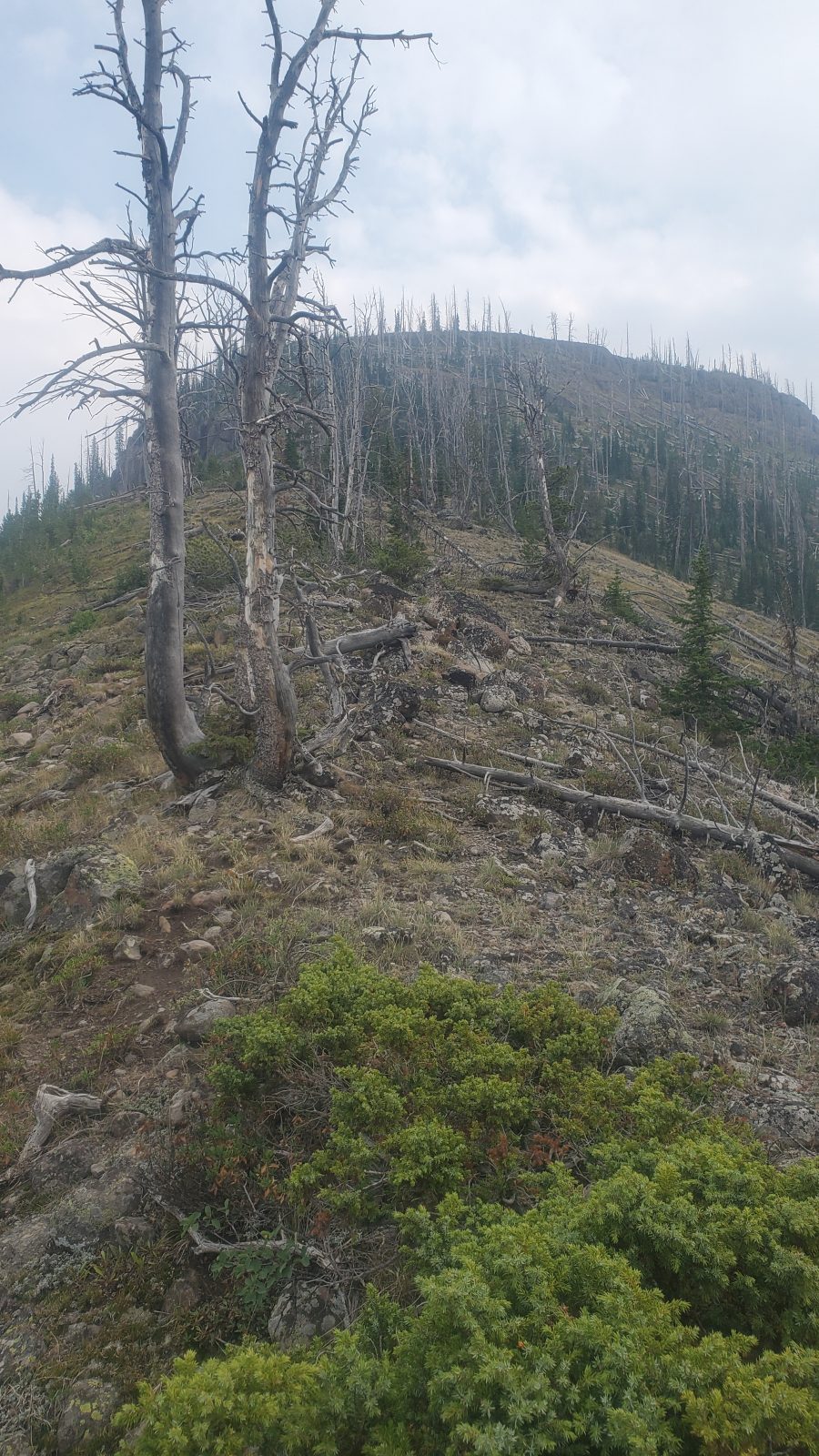 We found that the best view was about two-thirds of the way up the ridge, but we still had a pretty good climb afterwards to get to any decent camping. (My brother was really feeling the calorie deficit at this point.)