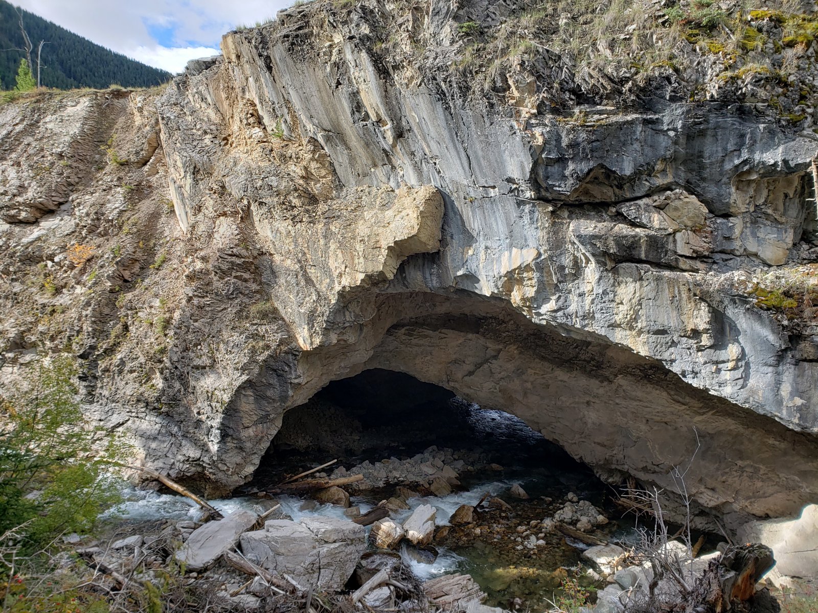 Shortly after passing the natural bridge, we would spot our first black 
bear of the trip. (Sorry, no pictures - none of the bears stuck around 
long.) He was foraging near Clear Creek and took off when we got nearby.