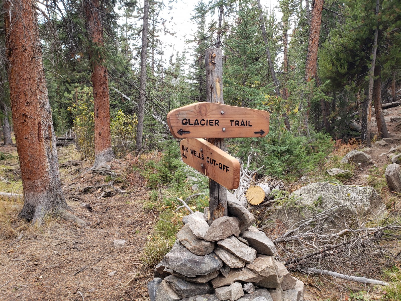 The Forest Service had done some serious work on this trail junction 
since my visit in July - at that time it was just a few bushes marked w/
 blue tape, but now it's a nicely marked/cleared trail w/ brand new 
signage.