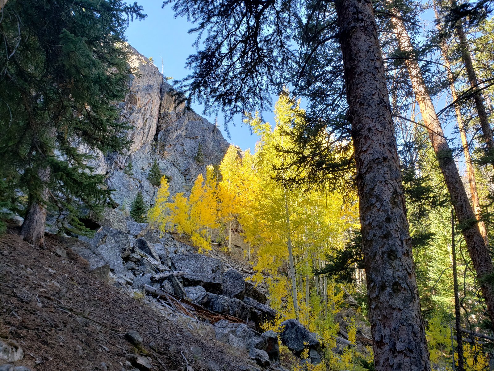 Trip photo from 009986