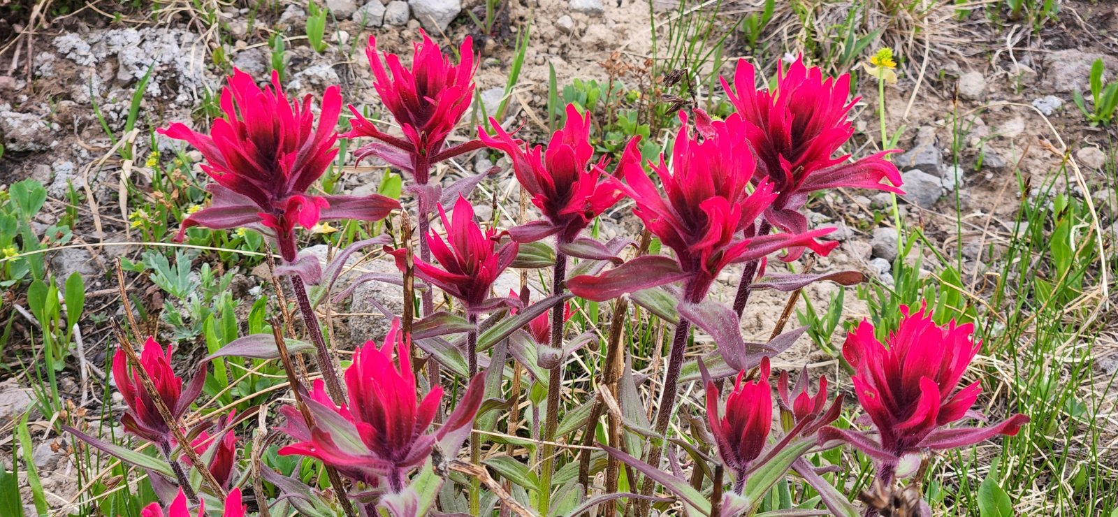 Lost Creek drainage.
