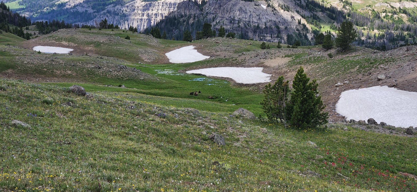 Trip photo from 010379