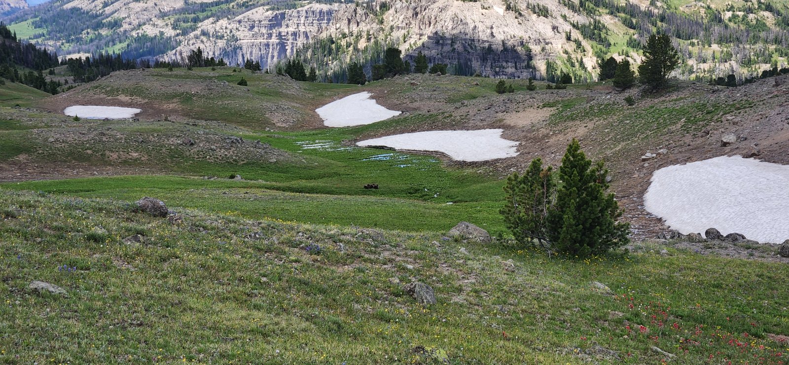 Trip photo from 010379