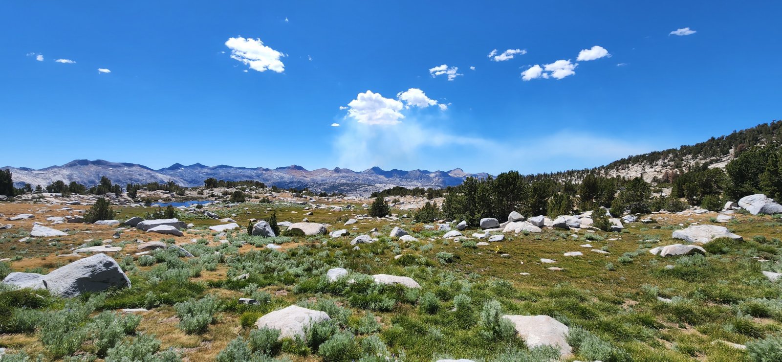 After descending Blue Lake Pass the remainder of our off-trail section 
was just beautiful walking through large meadows until finding the trail
 down to the Lyell Fork.