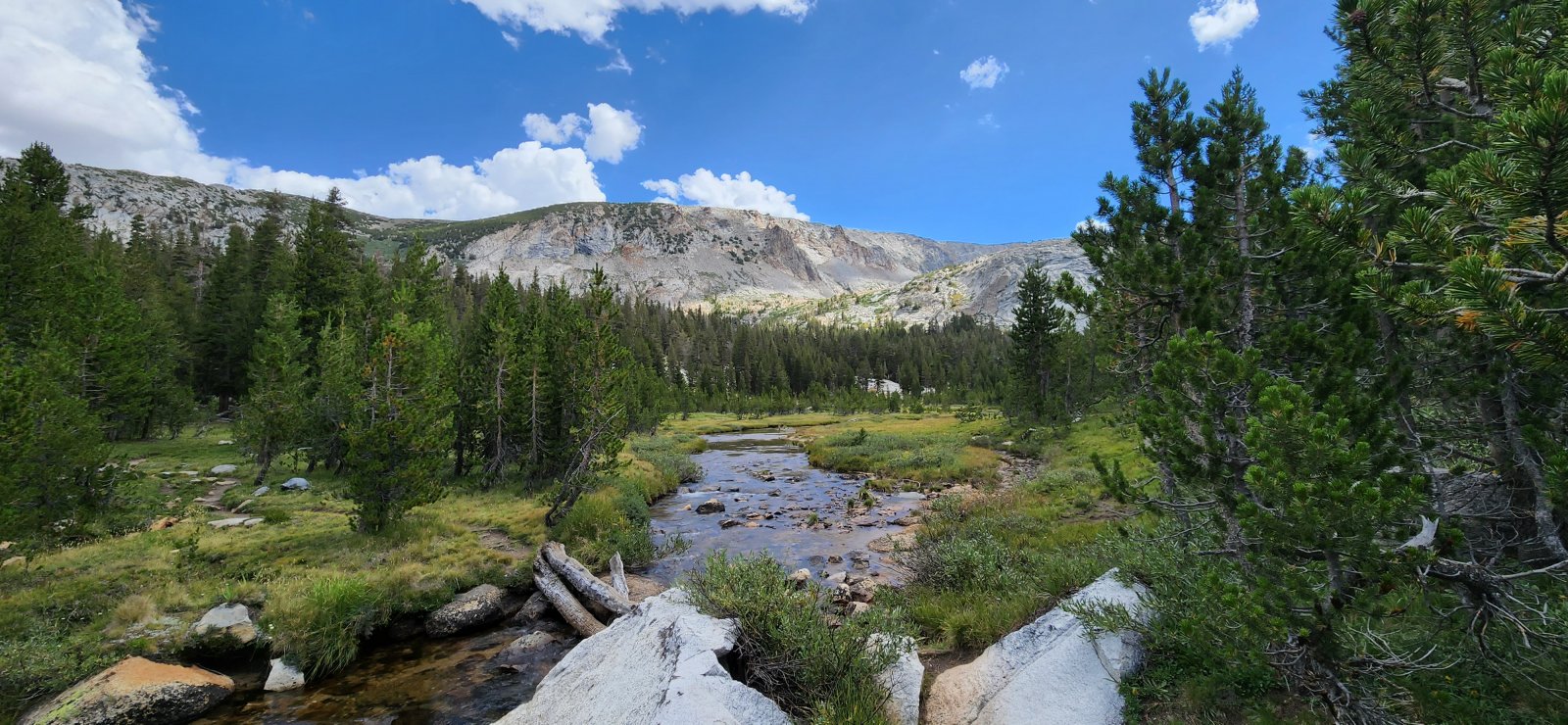 Lewis Creek below Vogelsang Pass.