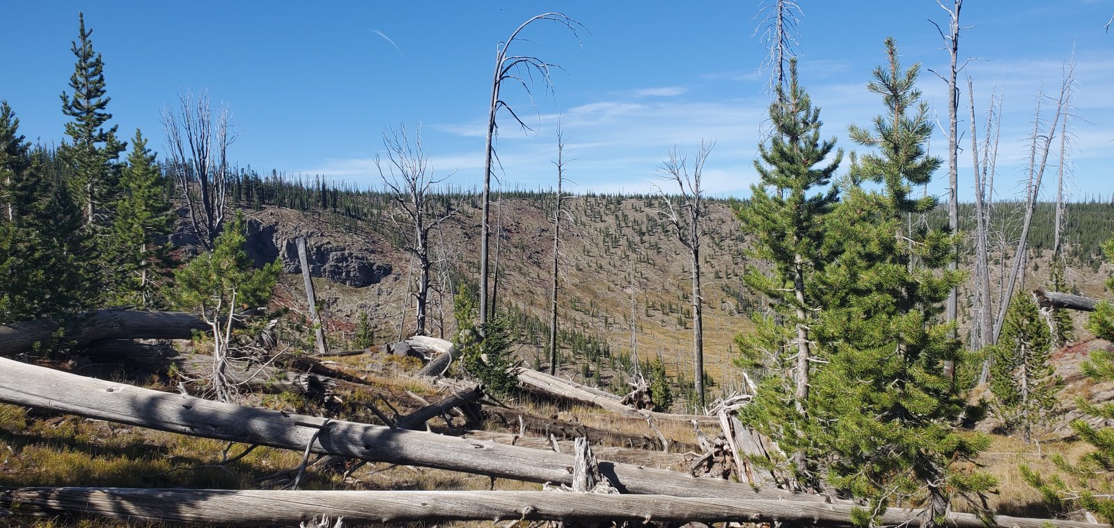 Trip photo from 010475