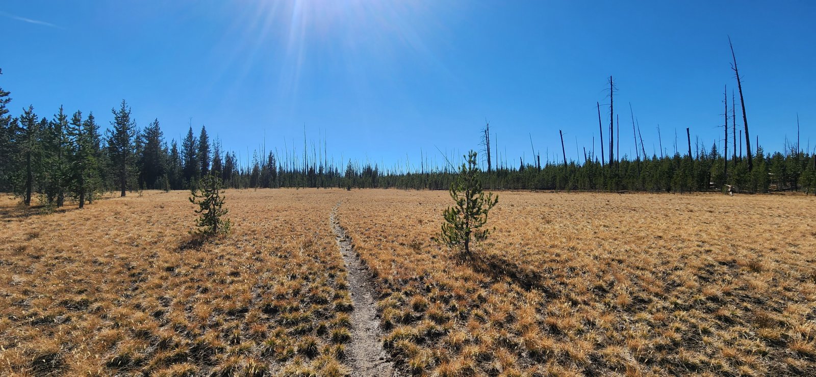 Phantom Fumarole was actually more active and interesting than I'd 
expected. We enjoyed a small break here before continuing on to our camp
 for the evening.