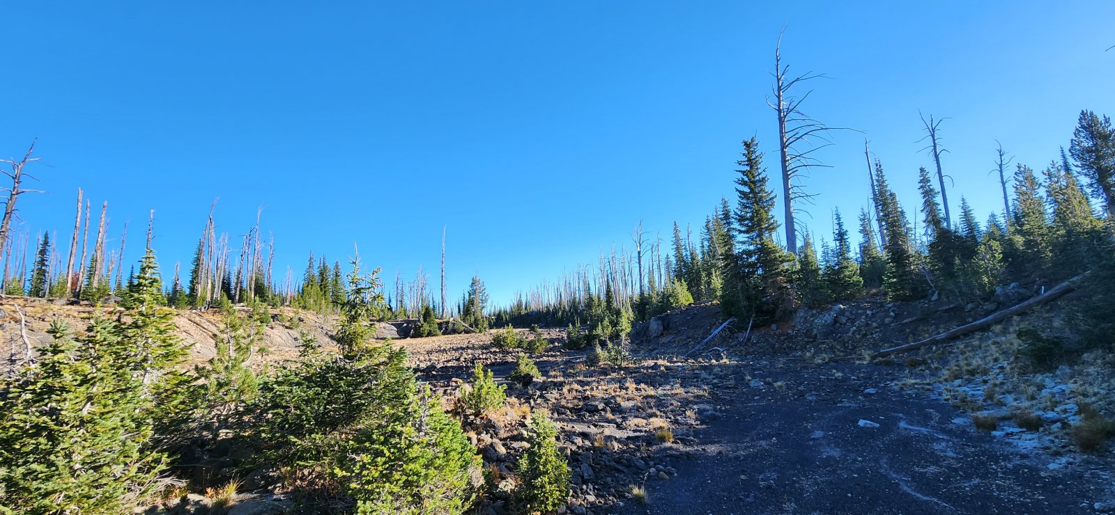 Much of the route up the plateau was on dry seasonal streambeds - I bet 
it's quite a sight when these are running during the spring thaw.