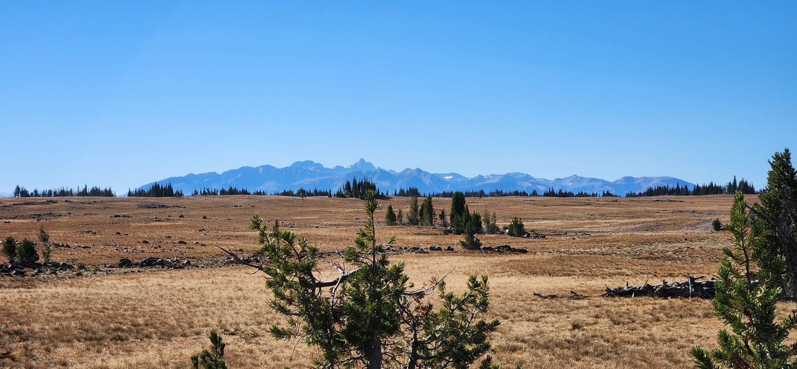 Throughout the day we could see the Tetons standing tall to the south.