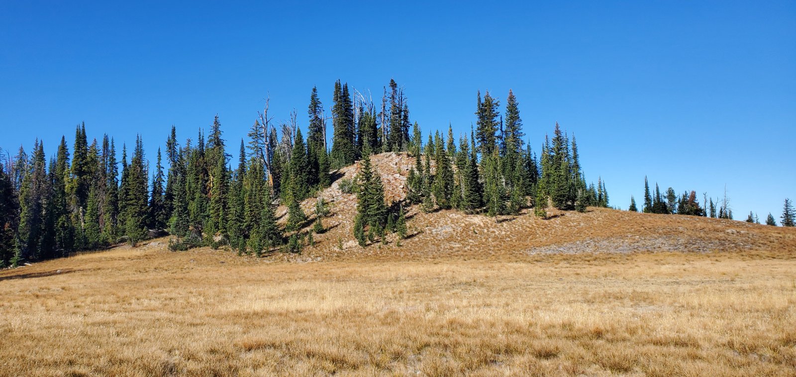 The high point of the plateau - not particularly prominent, but a nice spot for lunch nonetheless.