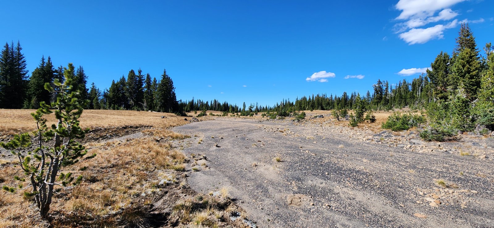 Much like the way up, the way down took us through mostly dry streambeds.