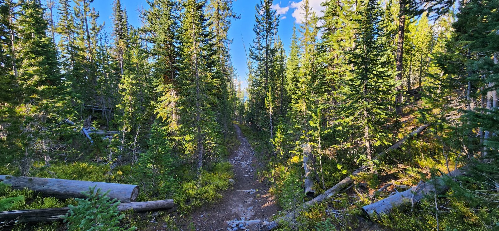 Just a few bruises and very wet feet later and we were back on trail to Shoshone Lake.