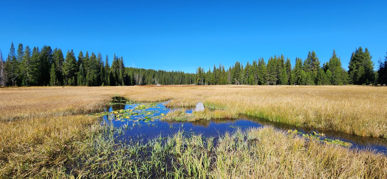 The morning trail was pretty soggy and unimproved until Shoshone Geyser 
Basin, but was much easier going after that point. I assume most traffic
 doesn't go beyond the geyser basin.