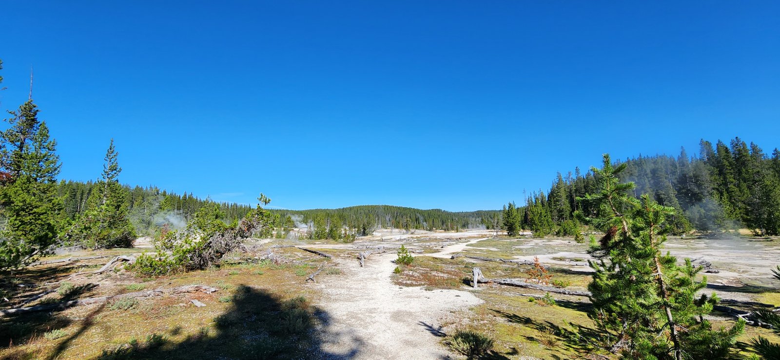 Entering the geyser basin.