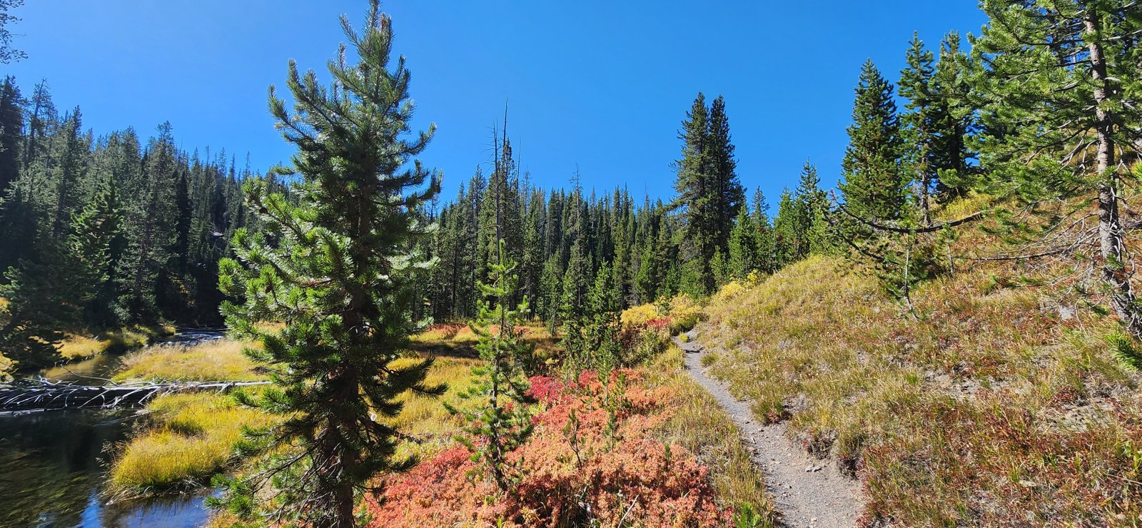 One of the more uninteresting crossings of the Continental Divide you will find in a wilderness area.