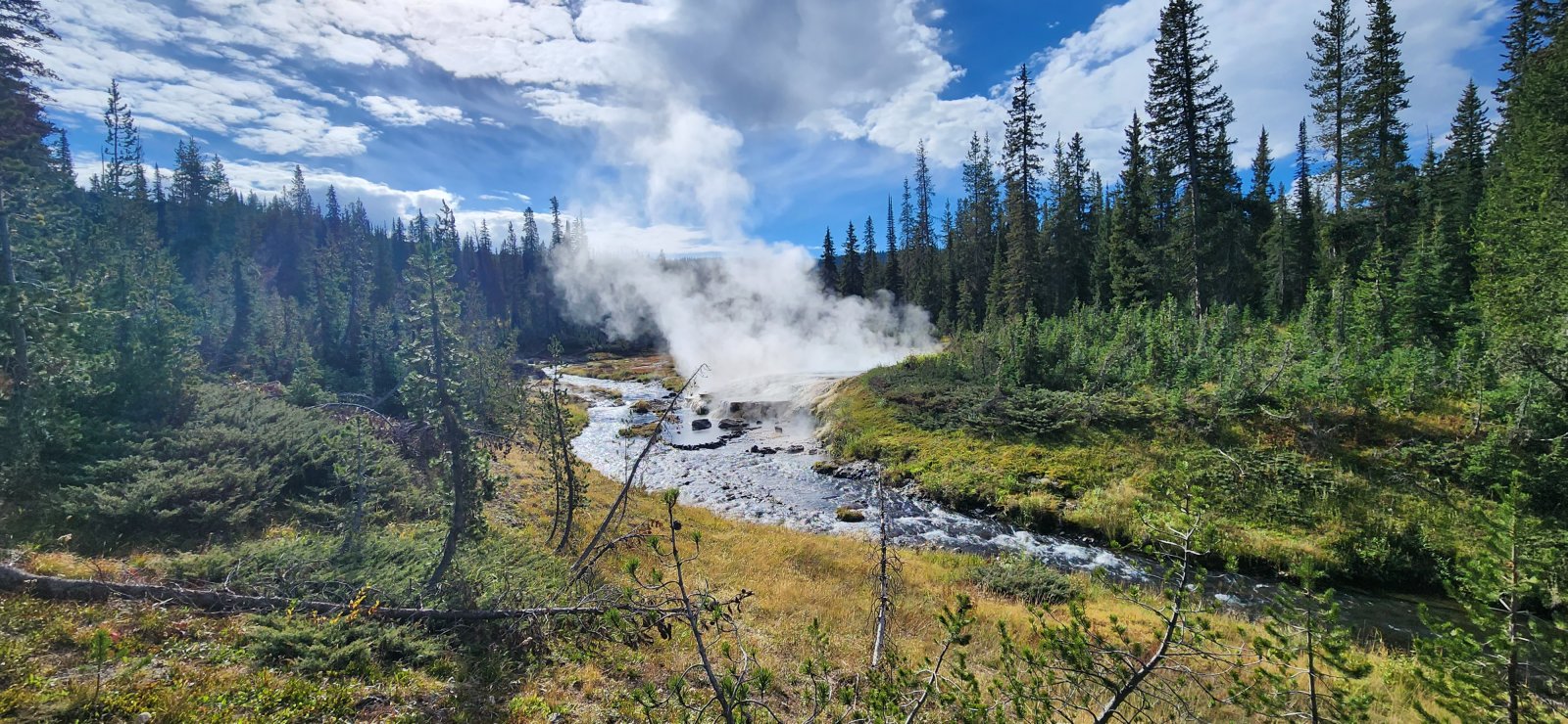 Upper section of Bechler Canyon as the three primary forks combine.