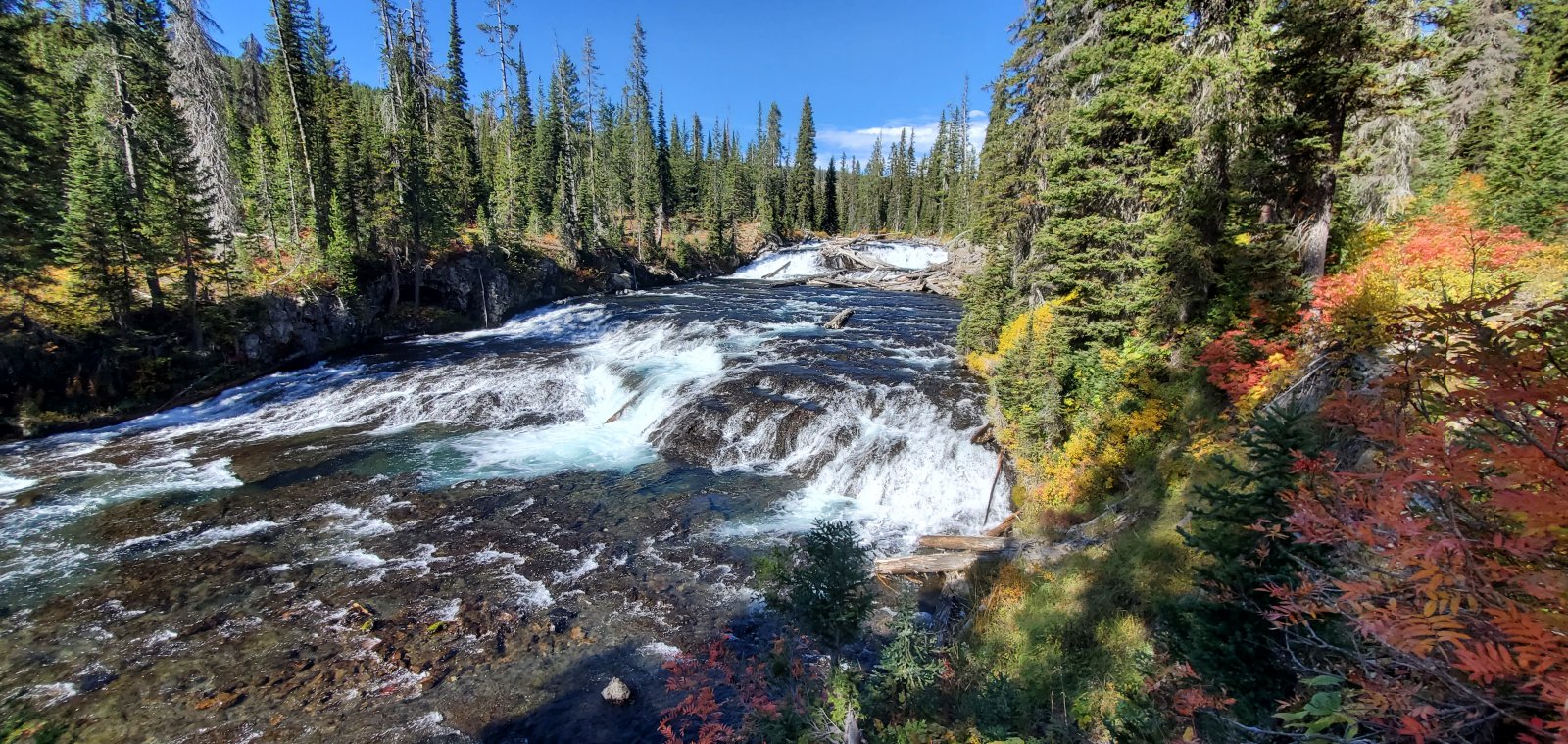 The Bechler River starting to open up now.