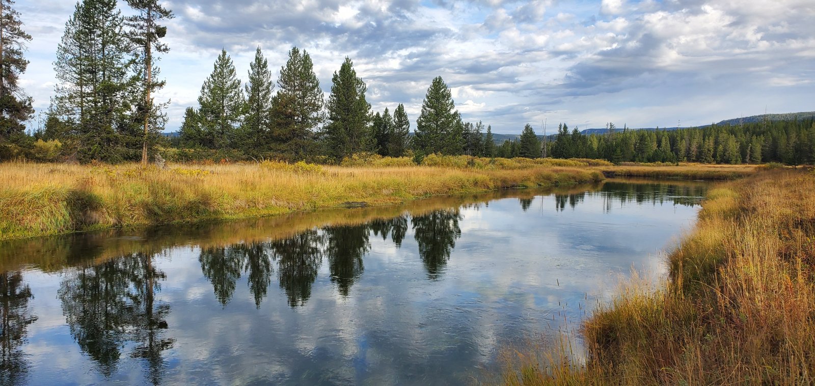 Bechler River much calmer through this section.