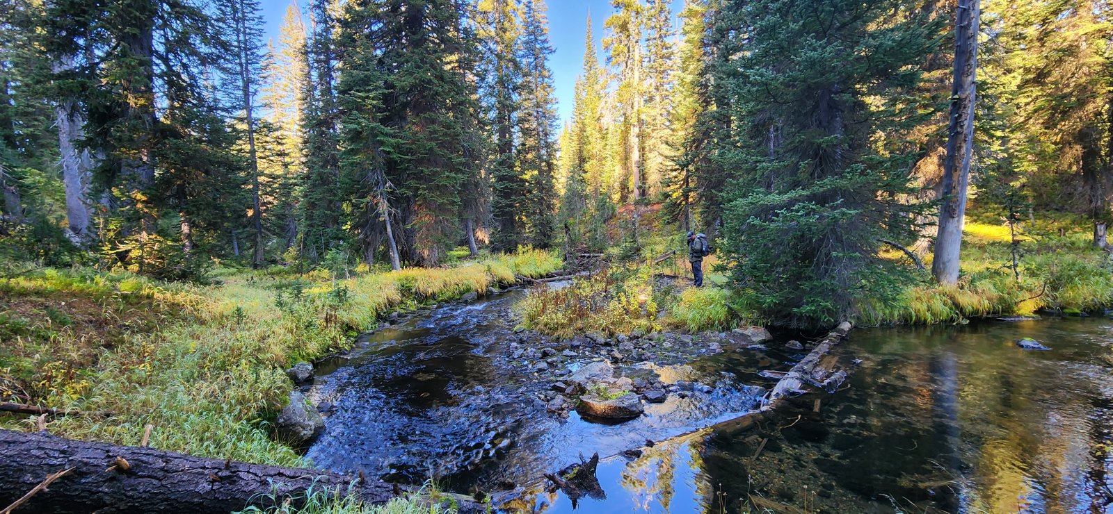 We eventually crossed the creek and headed up a steep (and mostly dry) inlet stream.