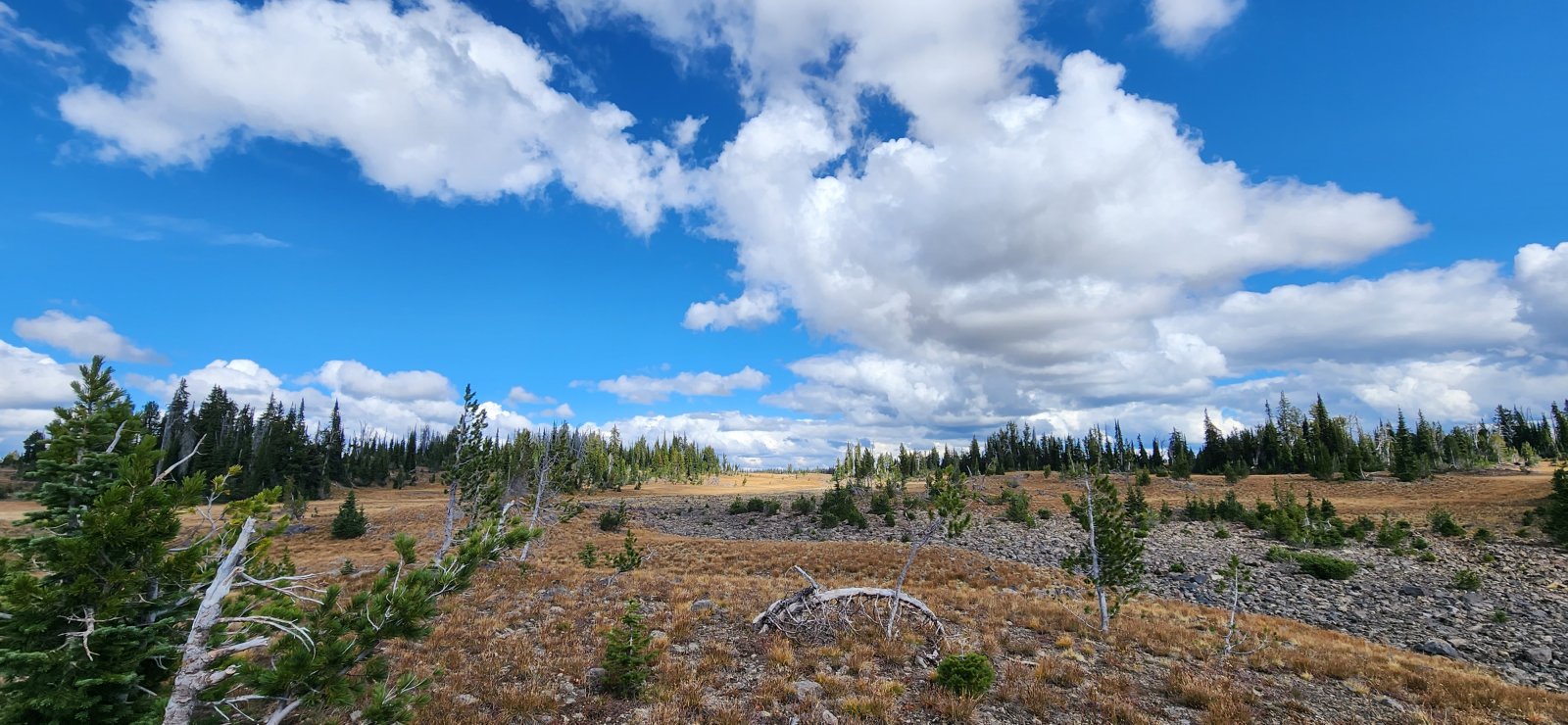 Our immediate weather was fantastic - but the forecast for the evening 
was looking pretty rough. Seems we timed things pretty well.