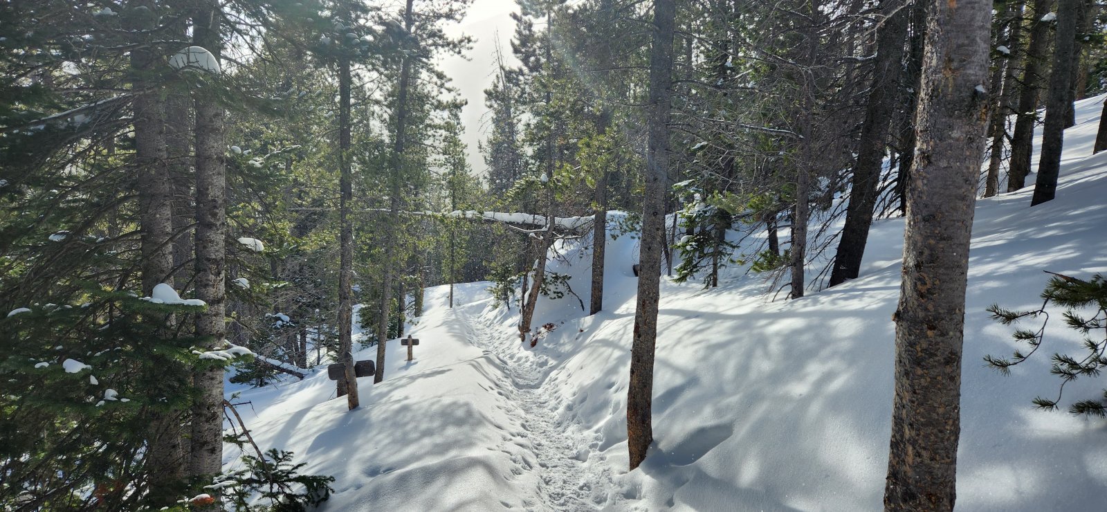 There was a pretty good trench all the way up to Loch Vale - only microspikes needed.