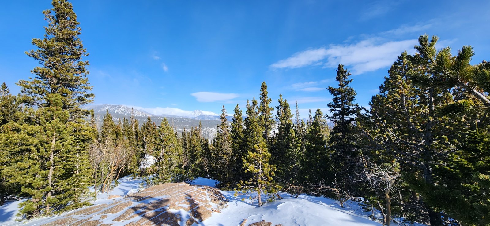 Looking up towards Glacier Gorge.