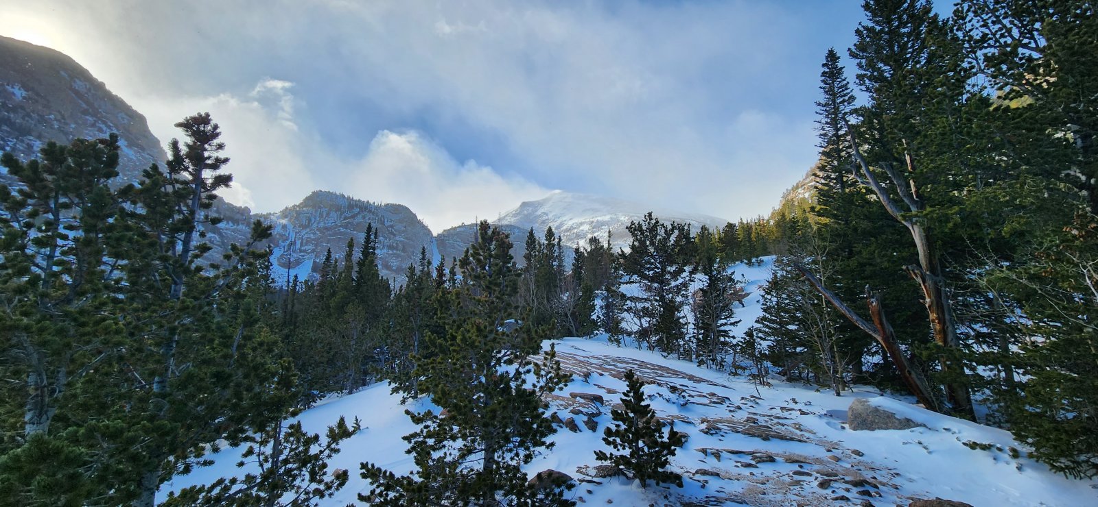 Looking up towards Glacier Gorge.