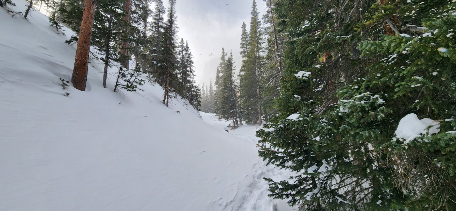 Steep ascent of Timberline Falls. Snowshoes came back off and axe came 
out for this part - not necessary, but good practice anyway.