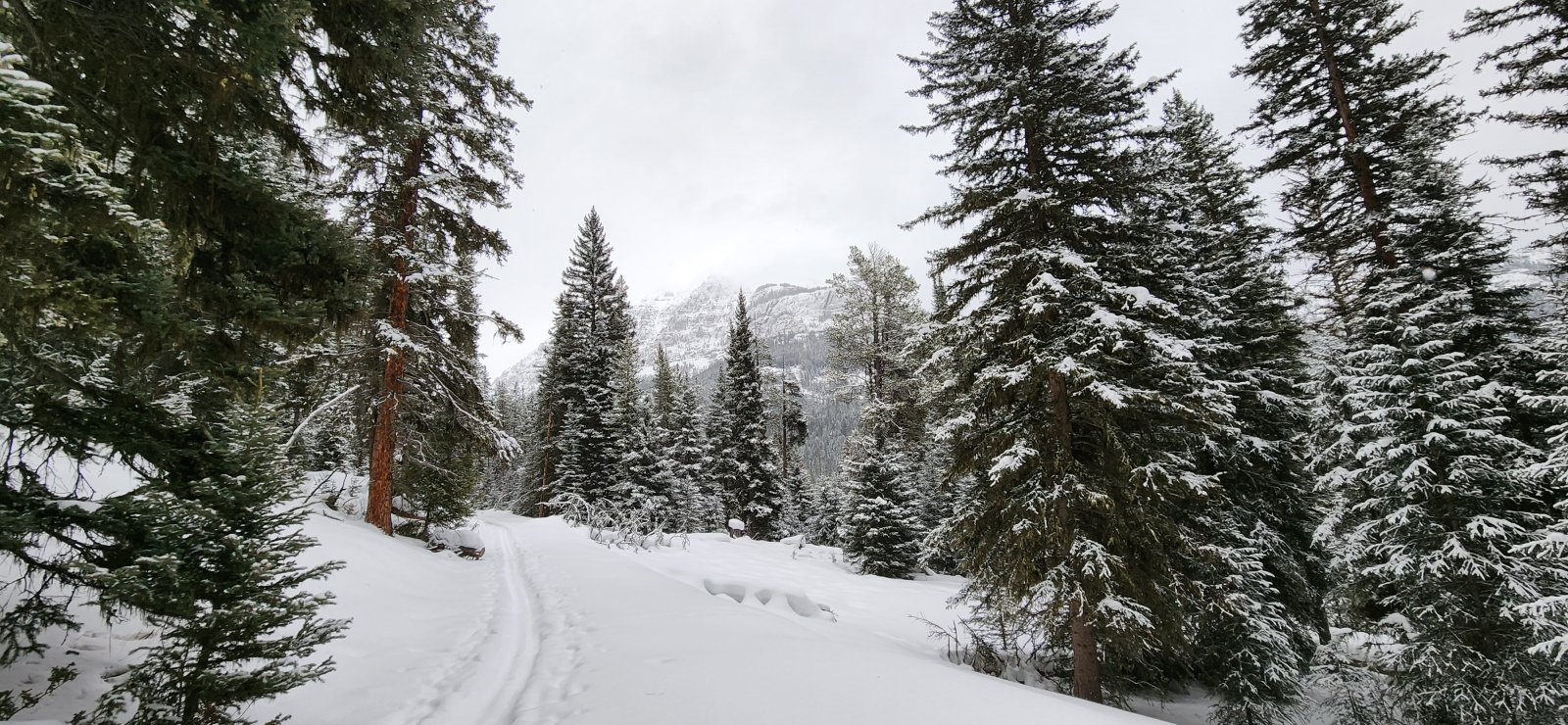 Previous visitors had left a pretty nice track. (Didn't see a soul while
 I was out there though.) Would all be covered overnight when the storm 
came through.