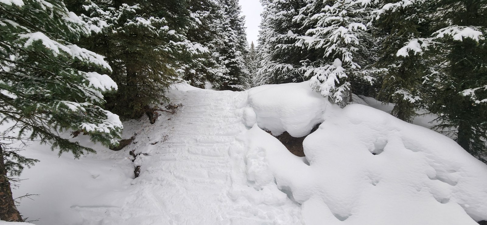Fair warning: quite a few steep-ish ditches to traverse. Not sure anyone looks graceful on these, but I definitely do not.