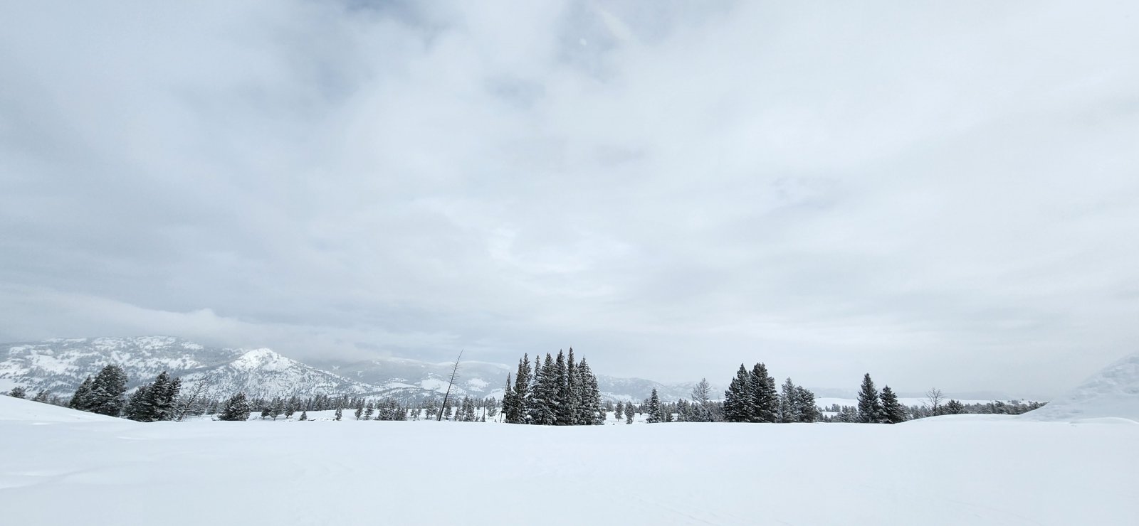 Last semblance of clear skies fading away.