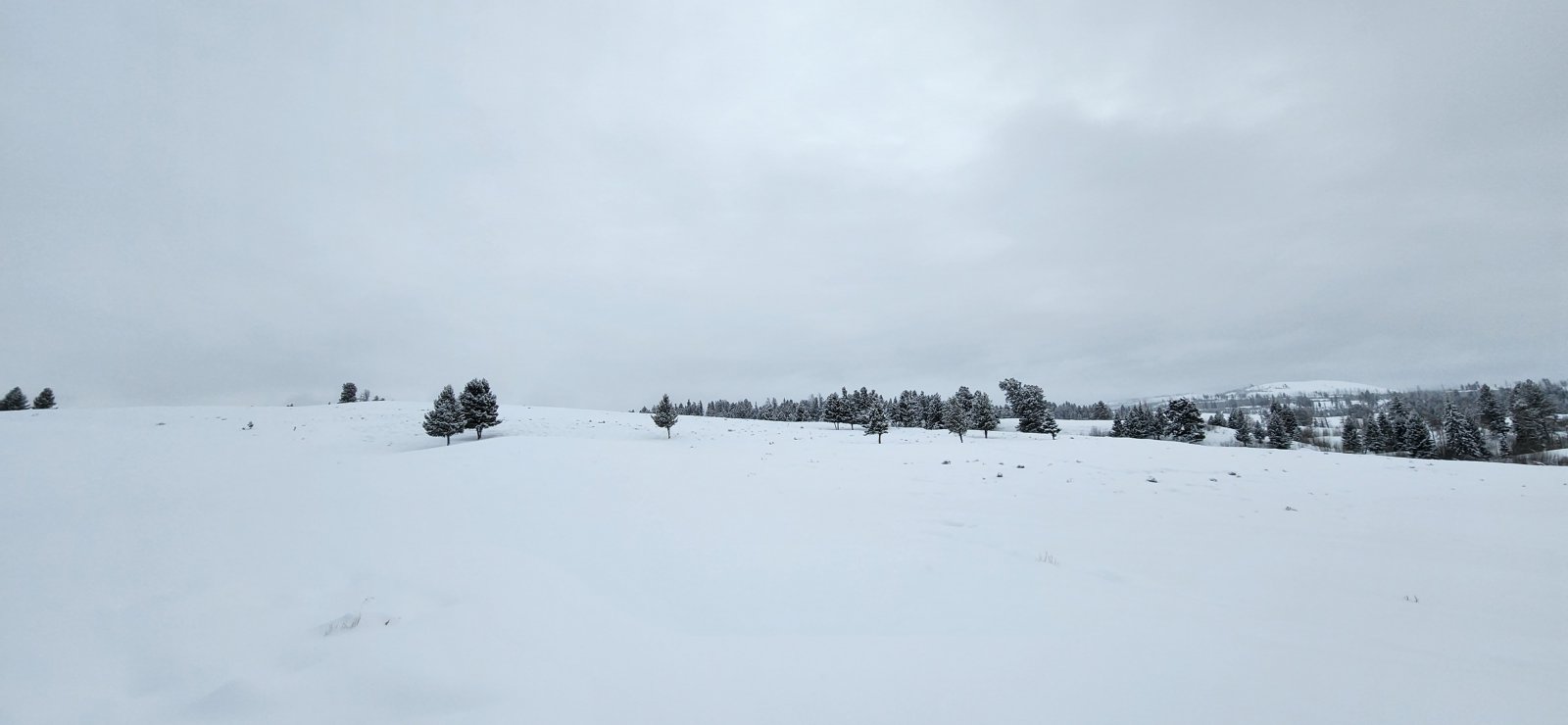 I really liked the wide open spaces on this trail.