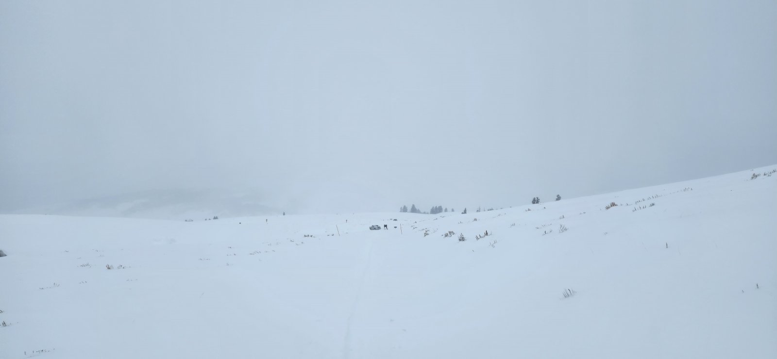 Back to the trailhead.