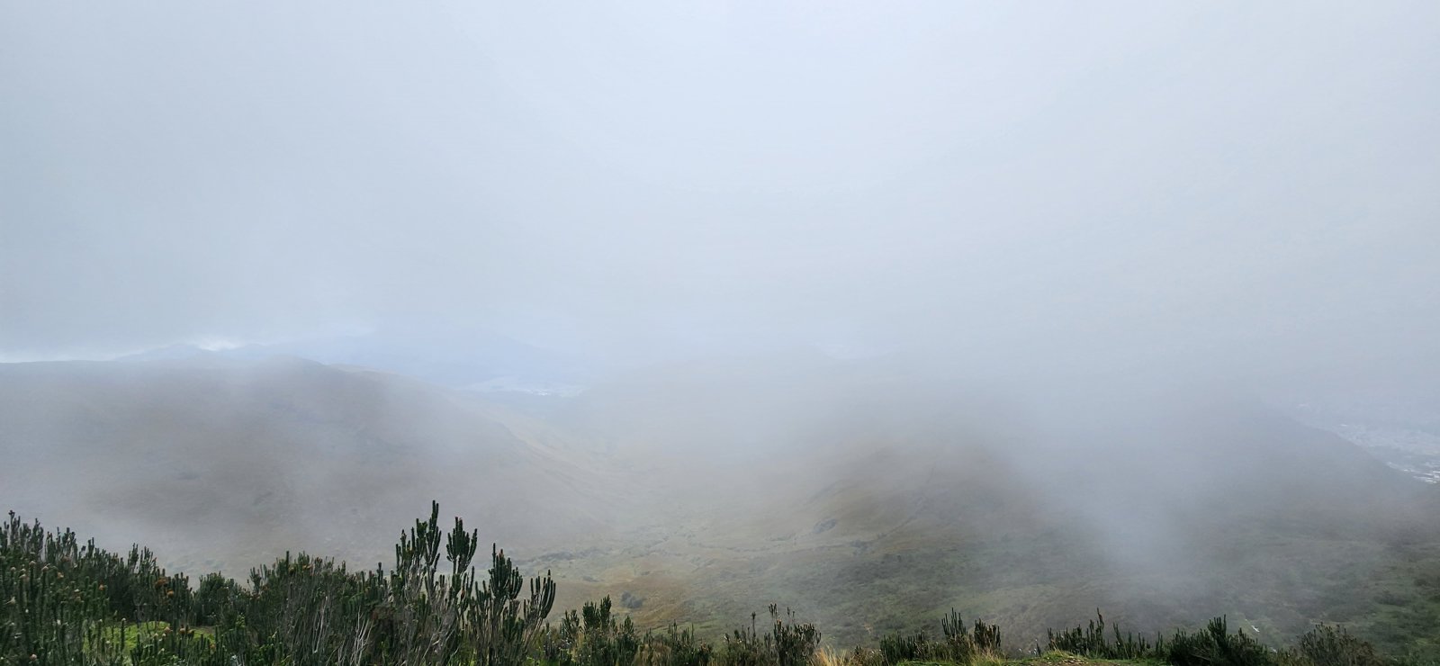 Hiking up into the clouds.