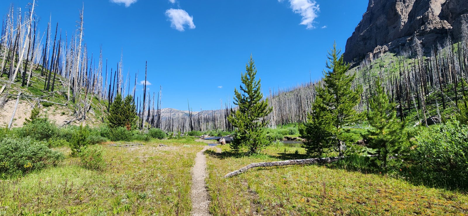 Pretty warm through here - relished the water crossings.
