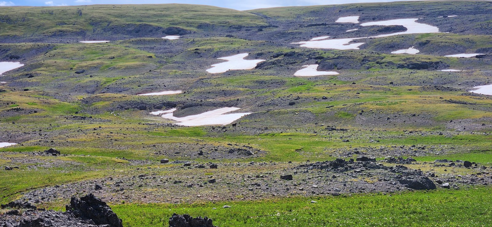 Large piece of petrified wood.
