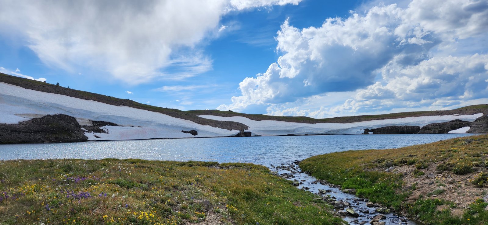 Looking down the drainage.