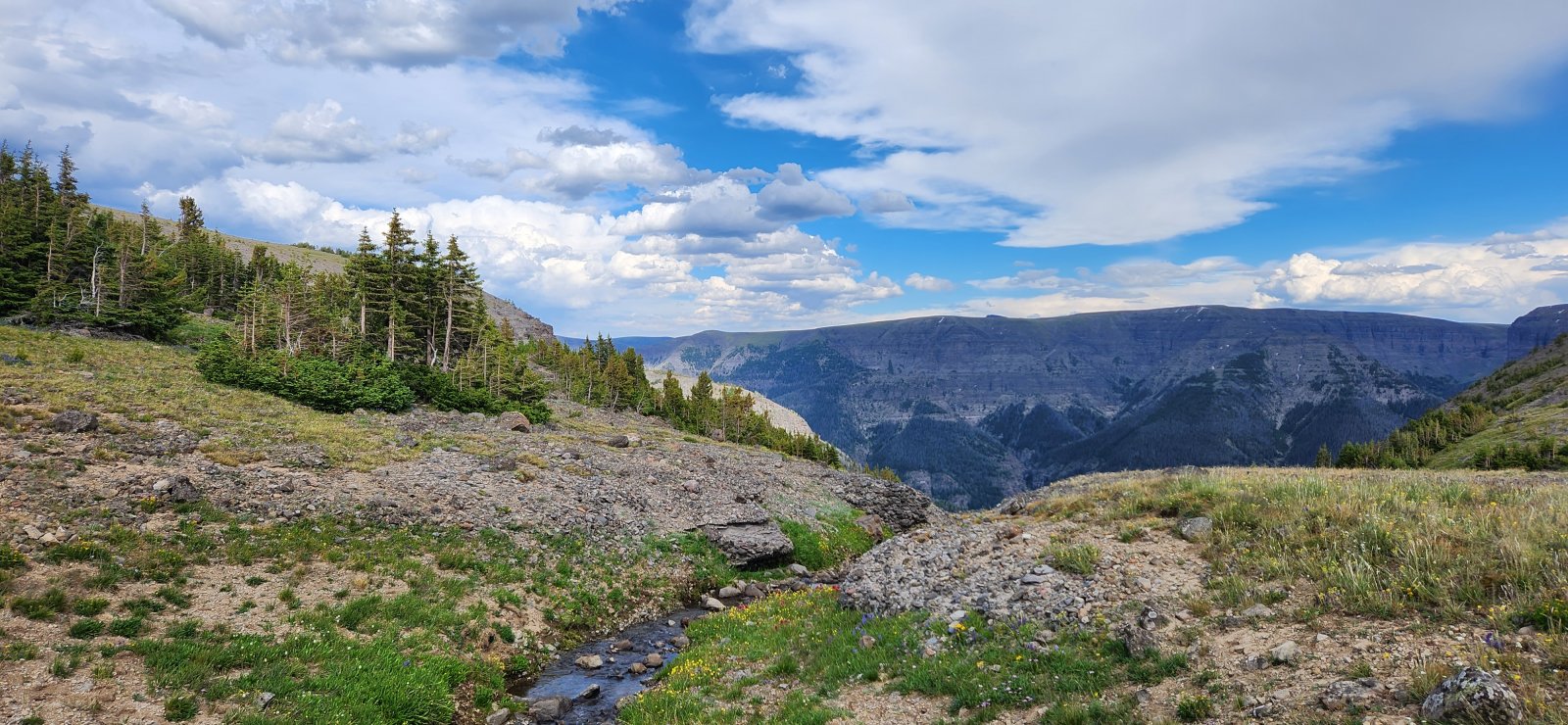 Looking down the drainage.