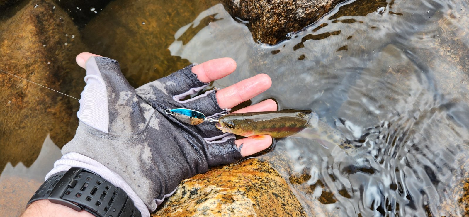 My brother's first fish of the trip - not exactly a trophy, but fun nonetheless.