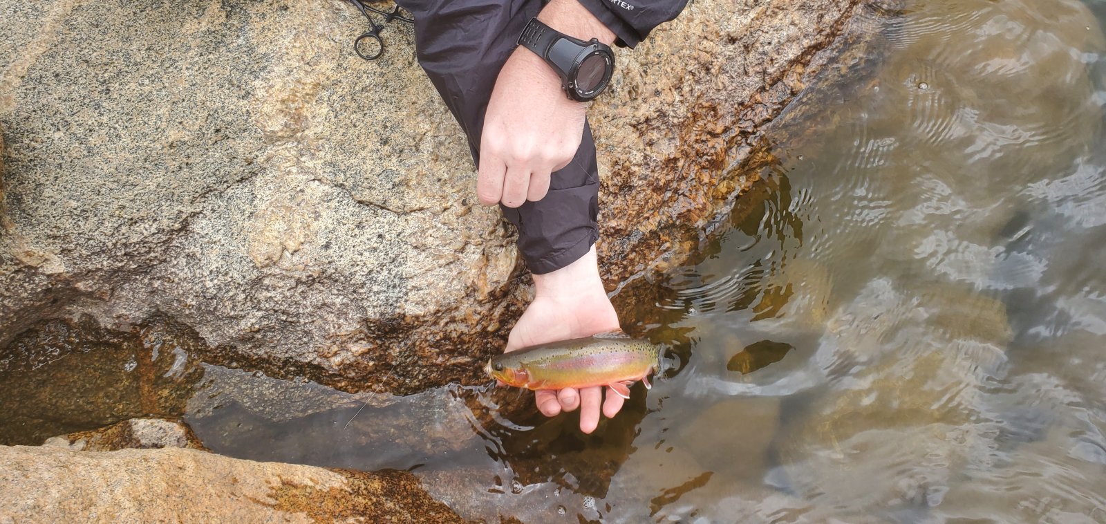 Never managed to land one of the bigger fish (we saw a few), but had a decent amount of luck on the fly rod w/ the little guys.
