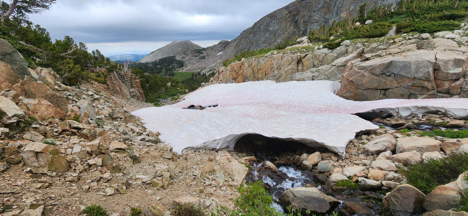 "Daddy, do you know where we're going?"