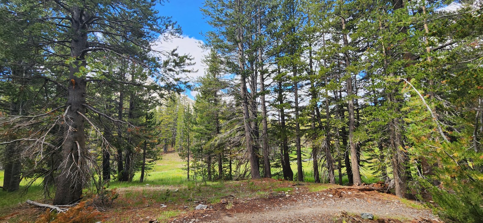 The early sections were fairly innocuous, but the weather was fantastic. (We*just*missed Hurricane Hillary which had finished its downpour the day previous.)