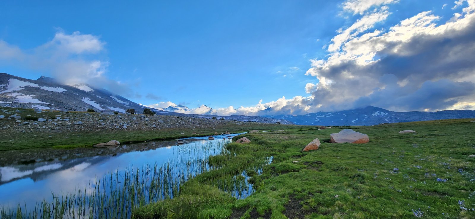 The nearby water sources did not have any fish, but they were absolutely
 swarming with very large tadpoles. Really cool to see - I'm always 
fascinated by the cold-blooded vertebrates that live in the high alpine.
