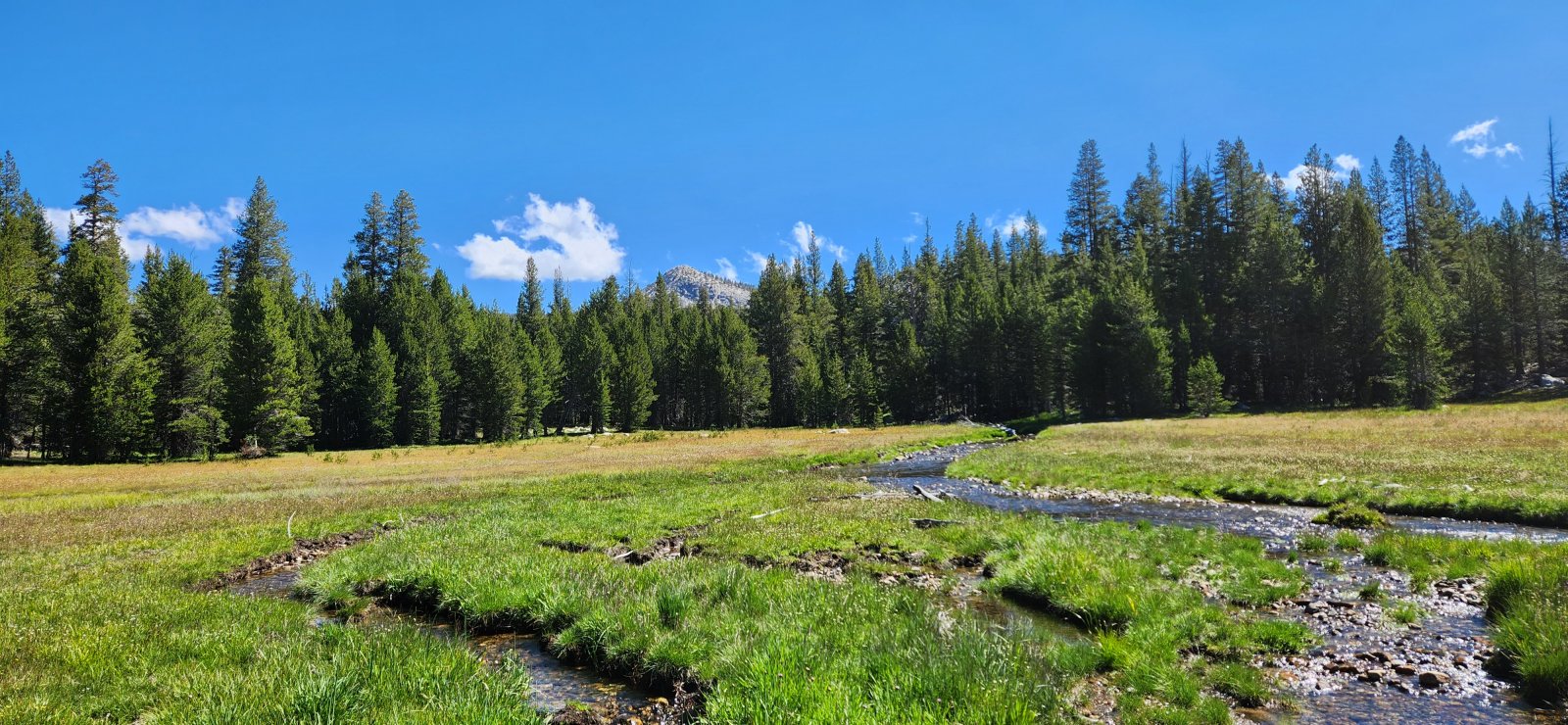 On the way up to the Gaylor Lakes basin.