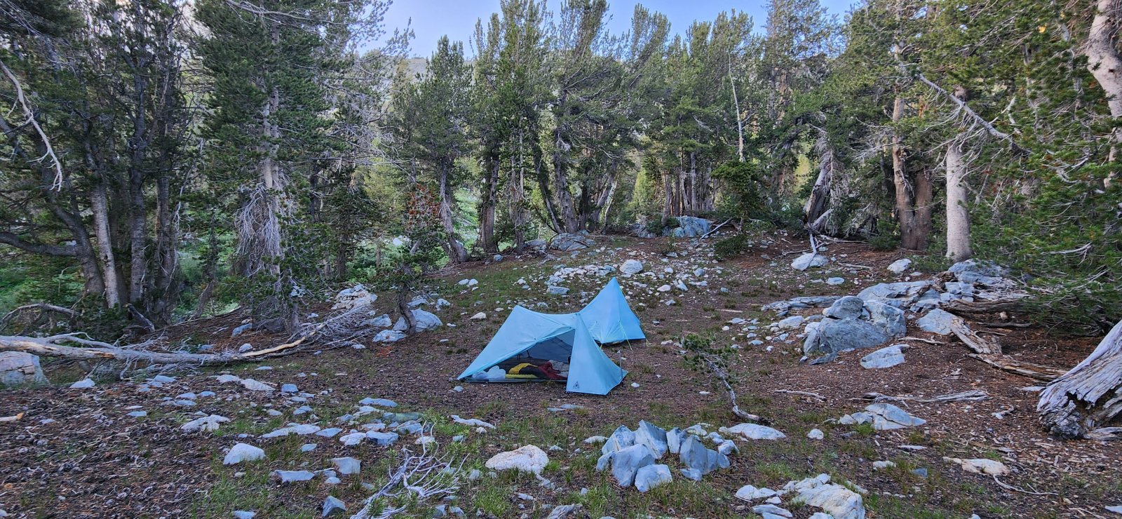 Camp for the night was the worst of the trip - lots of bugs and just 
kind of underwhelming. But - as previously mentioned - options are very 
limited and I was happy to meet up w/ my hiking partner again, however 
briefly.