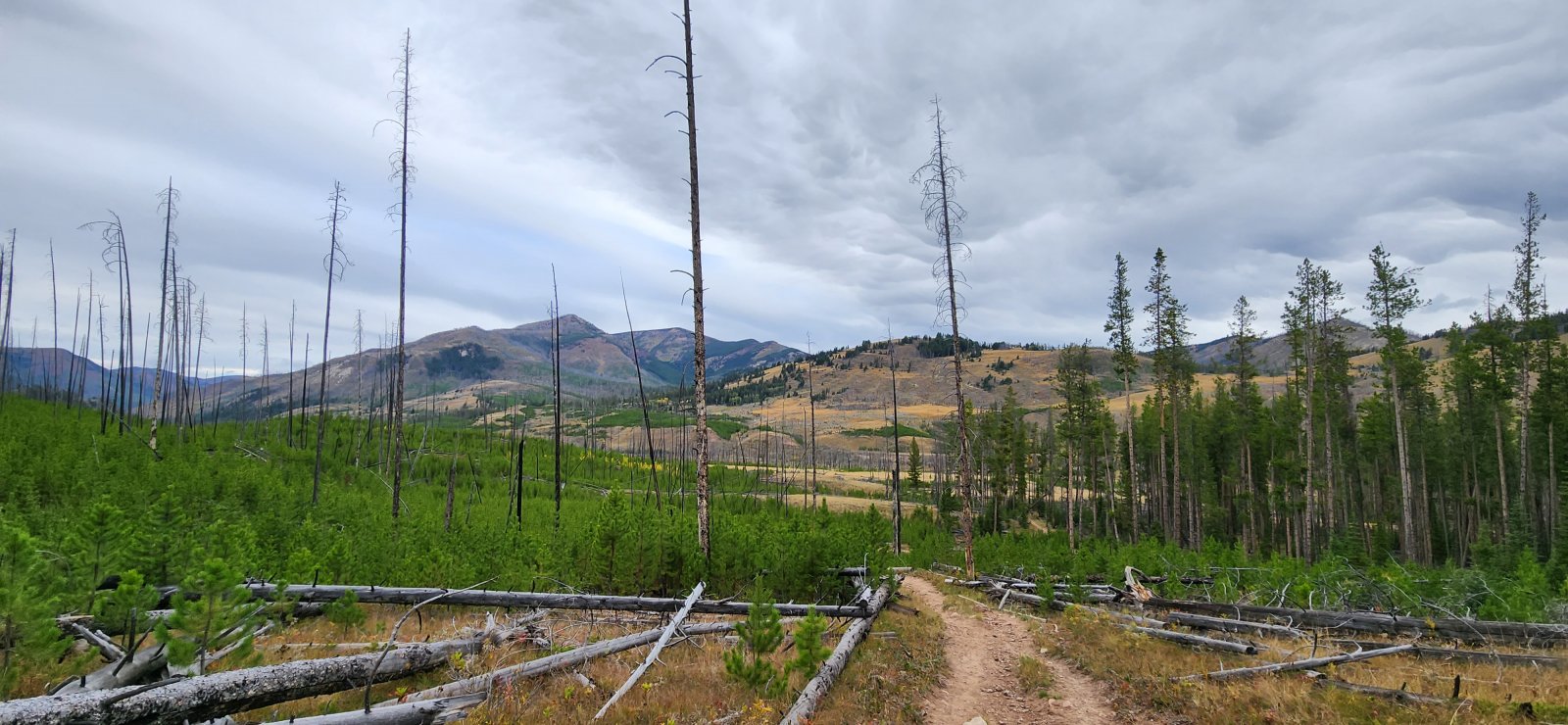 Views opened up a bit as we progressed.