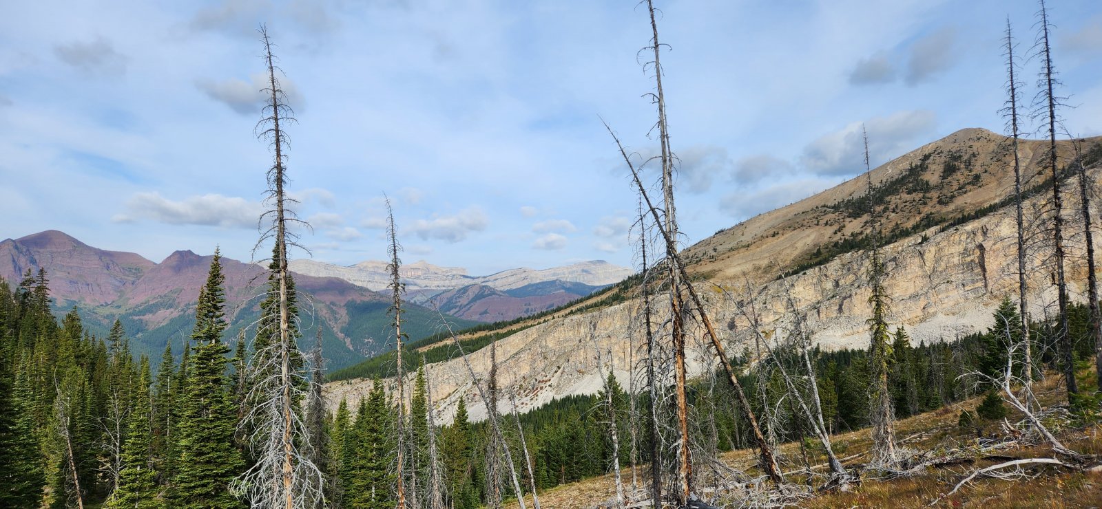 Views began opening up quickly near treeline. Our first definitive look at the Chinese Wall in the distance.