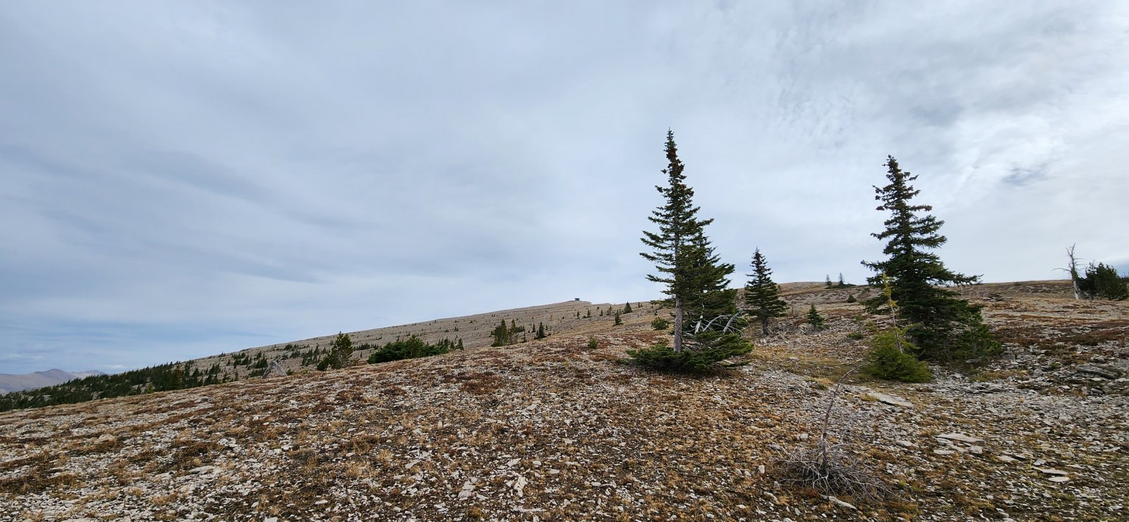 First look at the fire lookout.