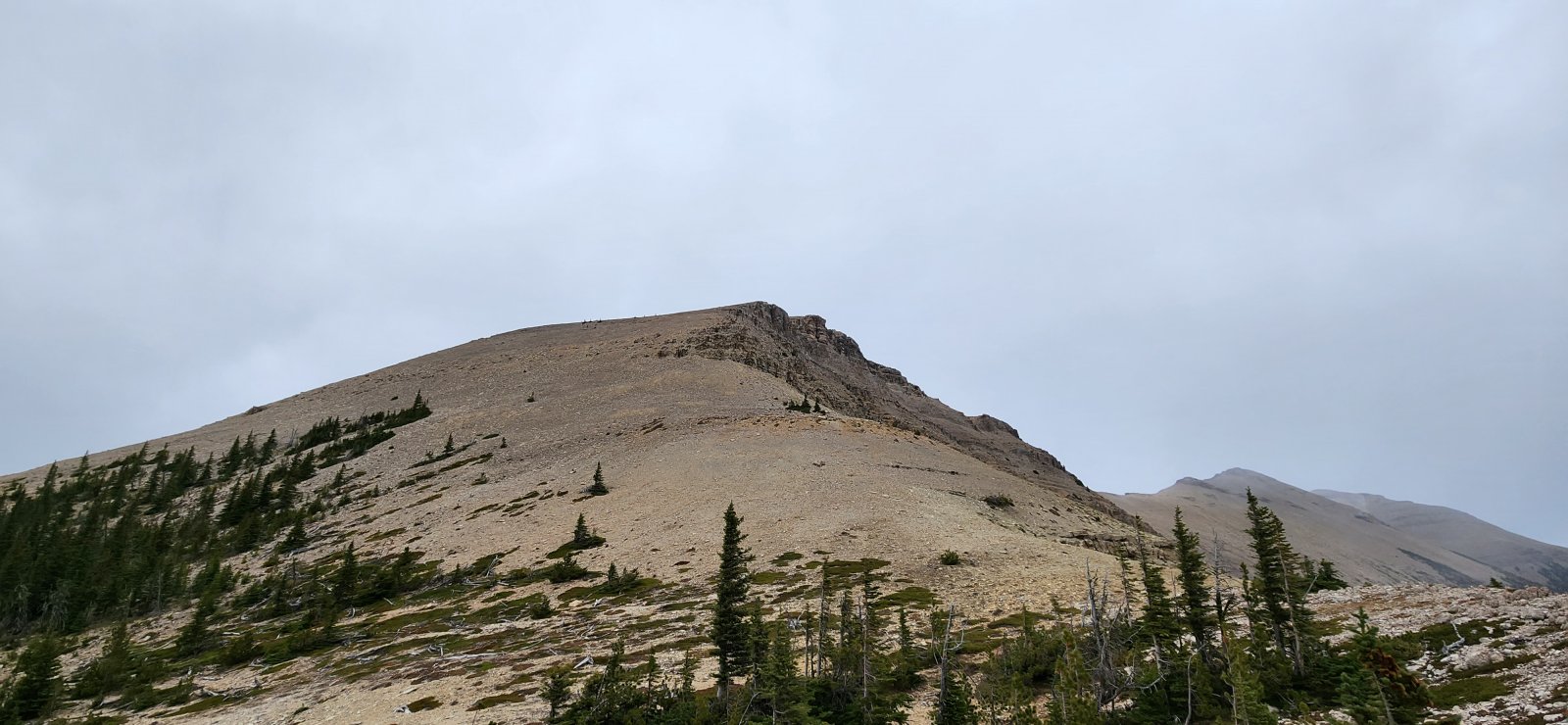 I had hoped to tag a high point near the end of the ridge (far right), 
but as it began to snow and having already climbed about 5k' on the day 
we decided to go ahead and begin our drop down to Moose Creek.