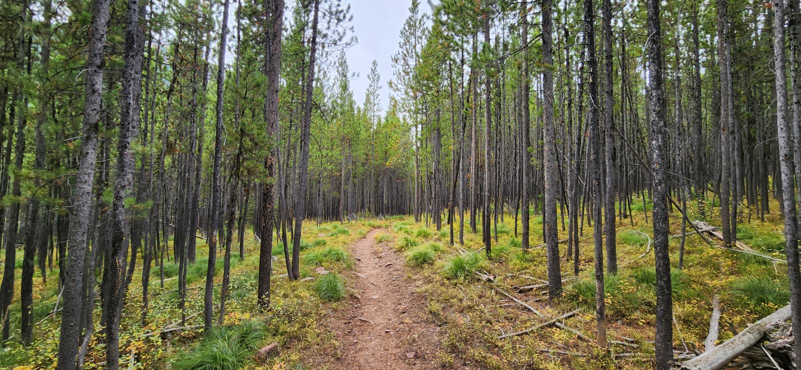 Back on the highway.